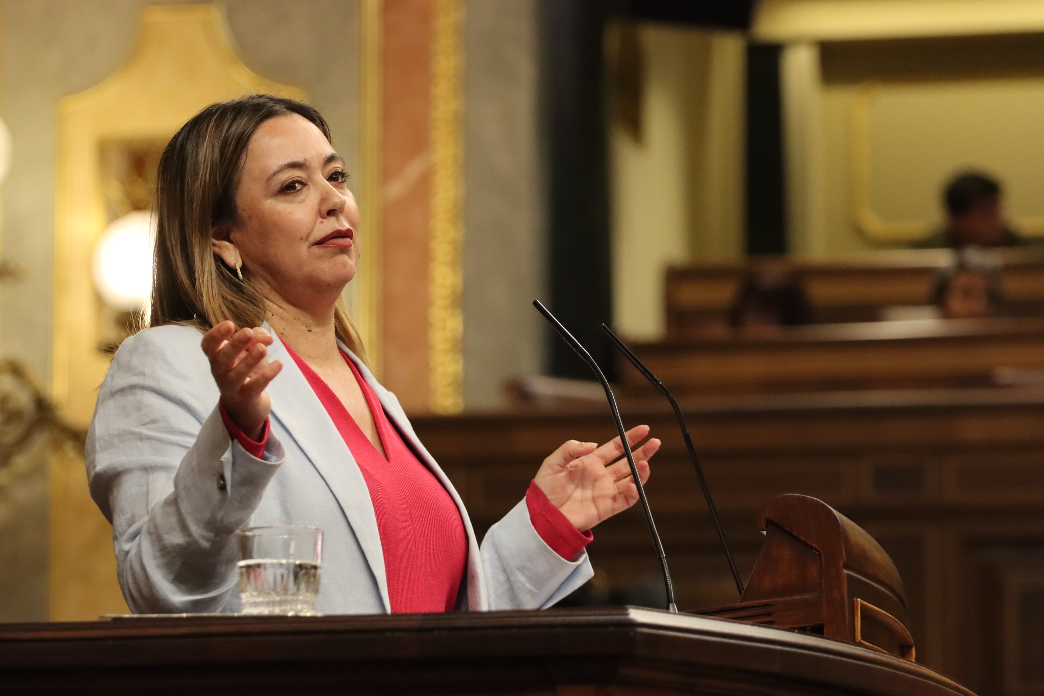 Dolores Corujo, en una intervención en el Congreso