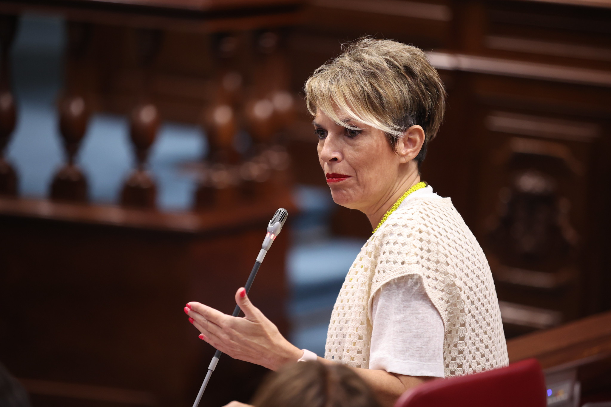 Elena Máñez, durante una sesión parlamentaria.