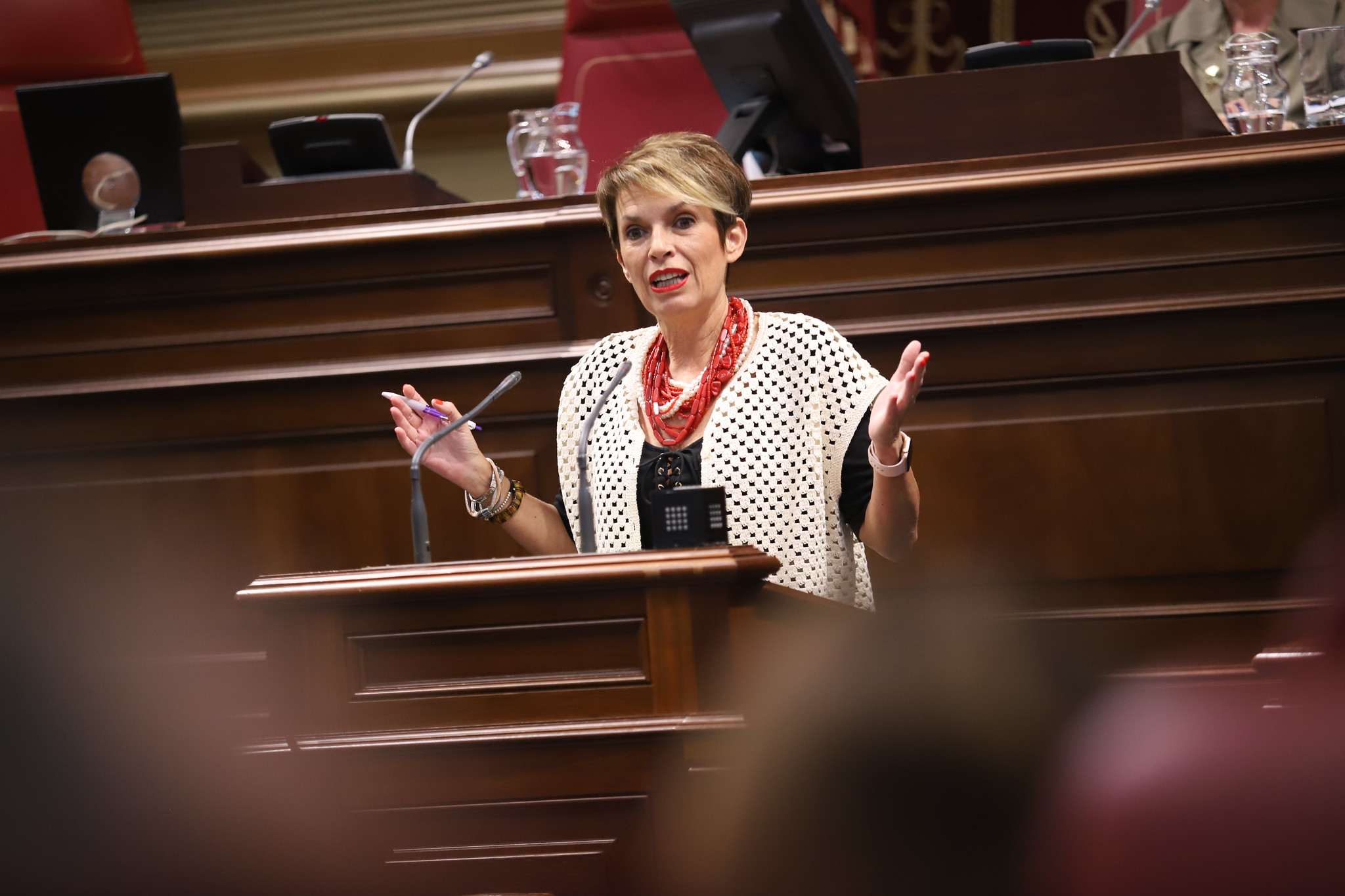 La portavoz adjunto socialista Elena Máñez, durante un pleno parlamentario